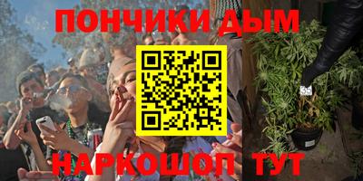 СК Пугачёв