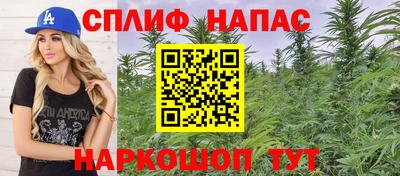 СК Пугачёв