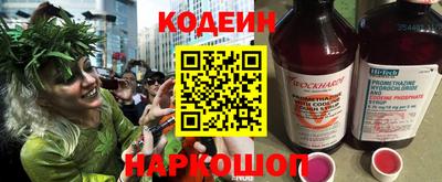 СК Пугачёв
