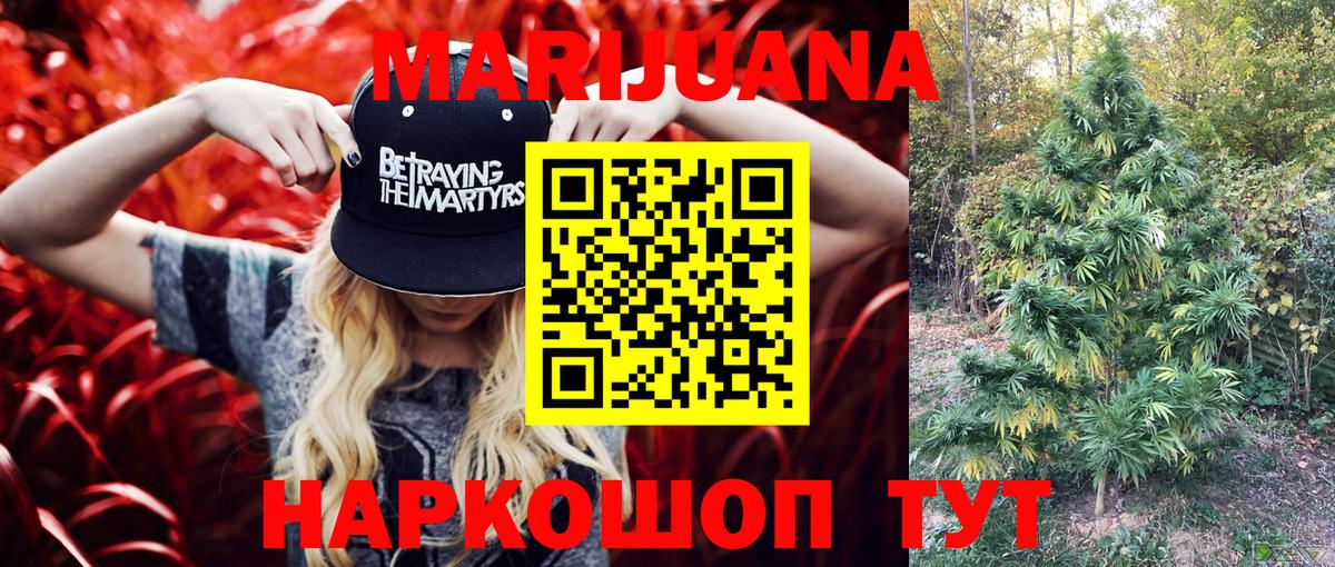Марихуана сатива Саянск
